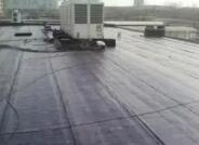 屋面防水一直是建筑业关键的问题?